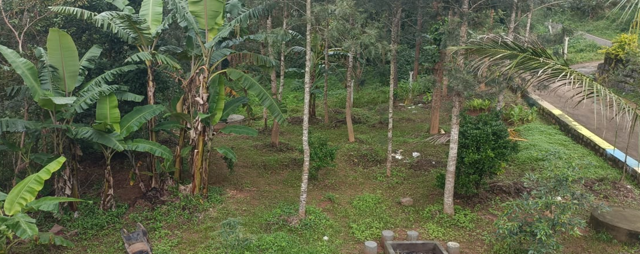 BNS Village Resort Garden Entrance